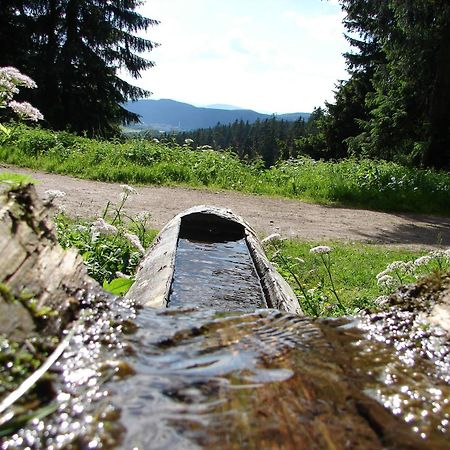 Ferienwohnung Rennsteigblick Suhl Luaran gambar